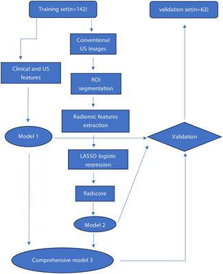 Application of ultrasound elastography and radiomic for predicting central cervical lymph node metastasis in papillary thyroid microcarcinoma